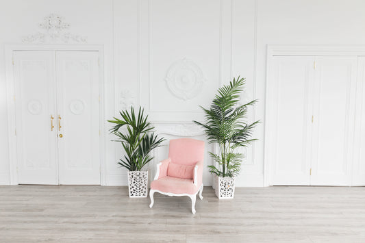 Indoor plant ideas